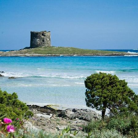 Vacanze Sardegna Apartment Santa Teresa Gallura Exterior foto