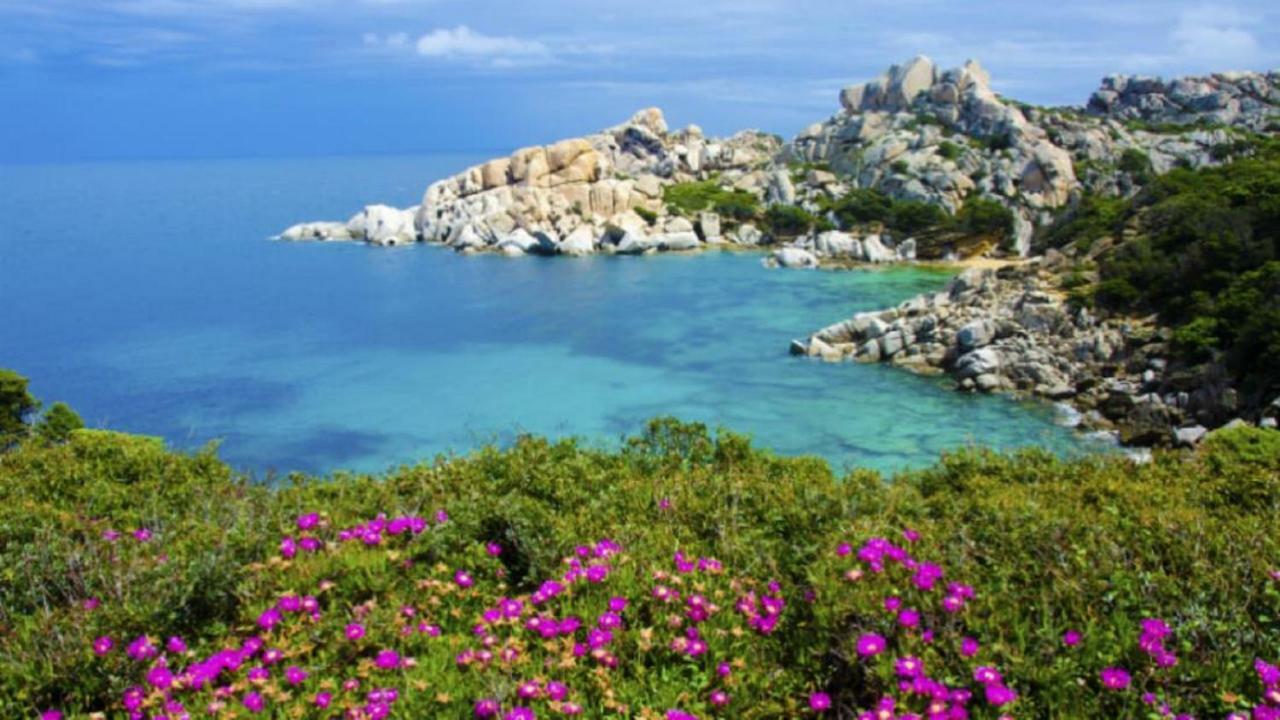 Vacanze Sardegna Apartment Santa Teresa Gallura Exterior foto