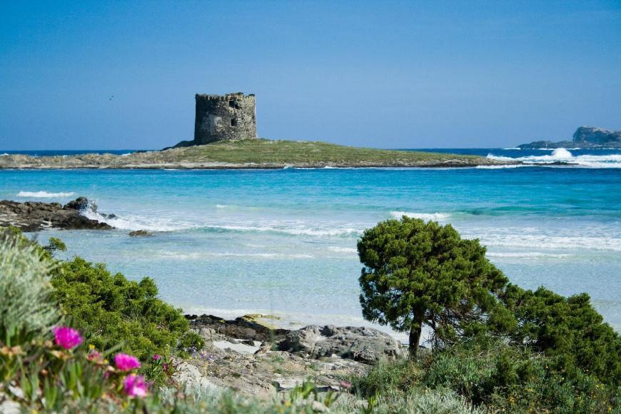 Vacanze Sardegna Apartment Santa Teresa Gallura Exterior foto